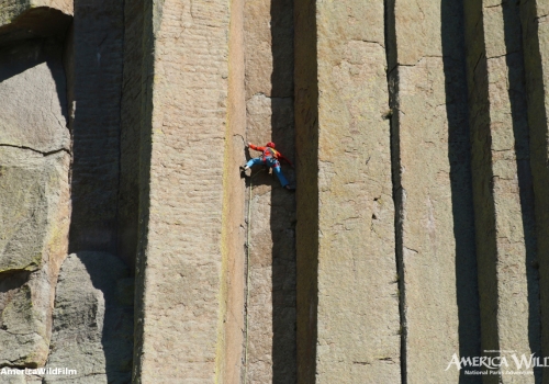 Climbing Devils Tower National Monument